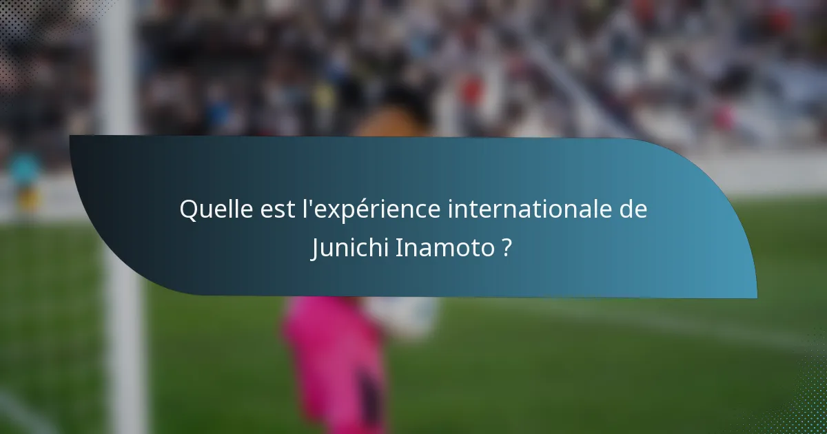 Quelle est l'expérience internationale de Junichi Inamoto ?